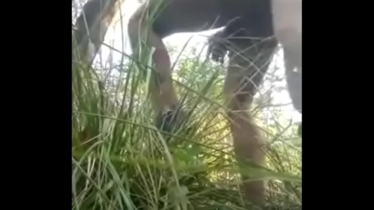 Comendo a boneca no meio do mato.